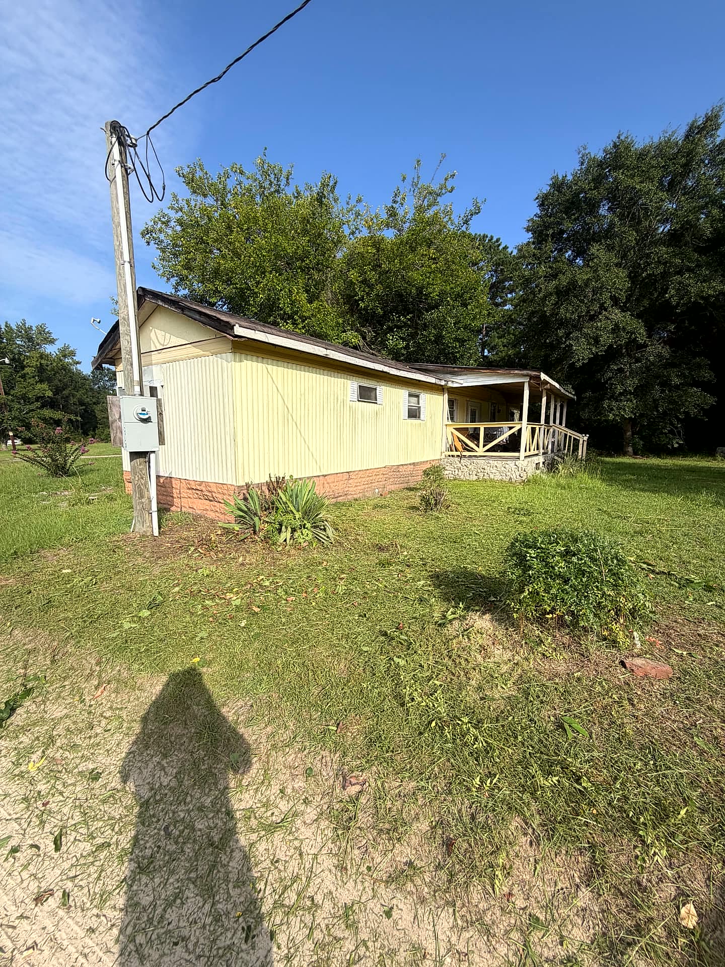 Property after brush and overgrowth clearing